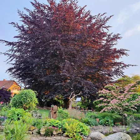 Homestay Wintergarten Am Thingplatz