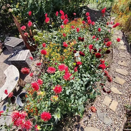 Wintergarten Am Thingplatz * Rinteln